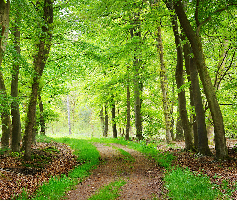 美國牛卡紙1_02_02 美國牛卡紙1_02_02