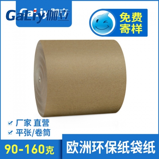 歐洲環保紙袋紙